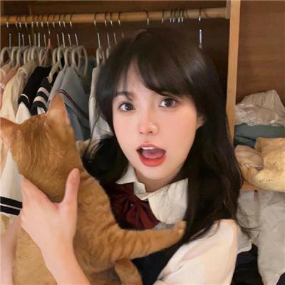 带着十个老婆发家致富